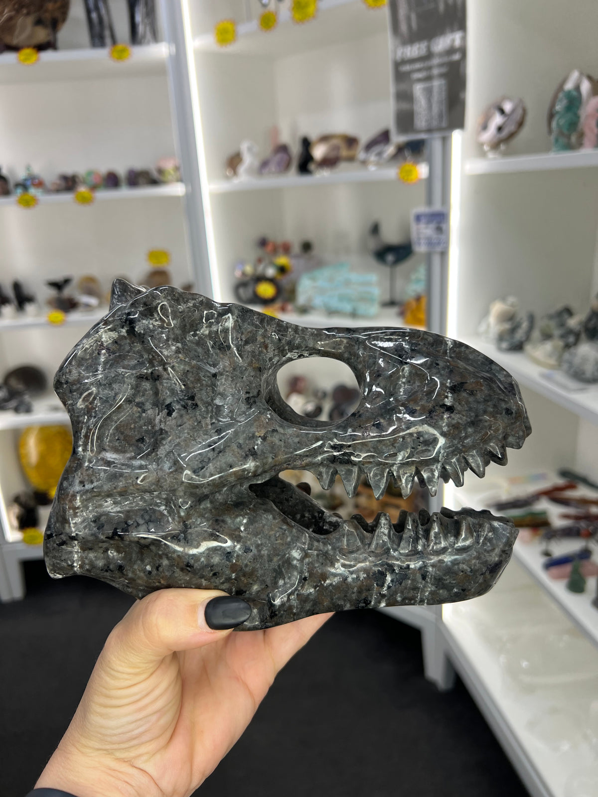 Yooperlite Dinosaur Skull (UV Reactive)
