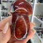 Carnelian Mushroom