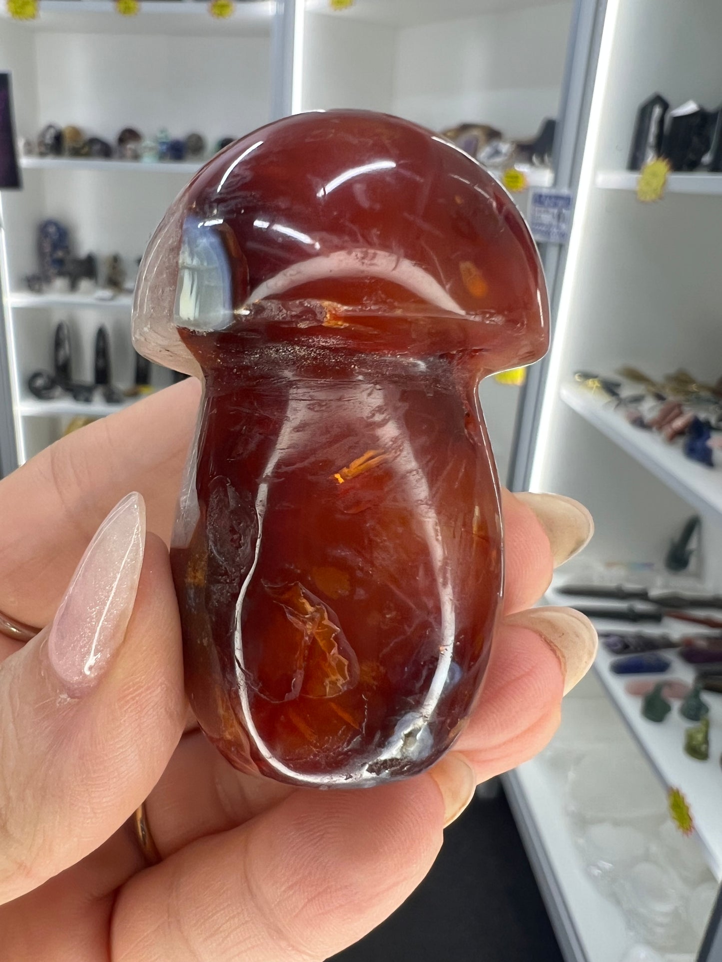 Carnelian Mushroom