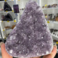 Amethyst Cluster Specimen