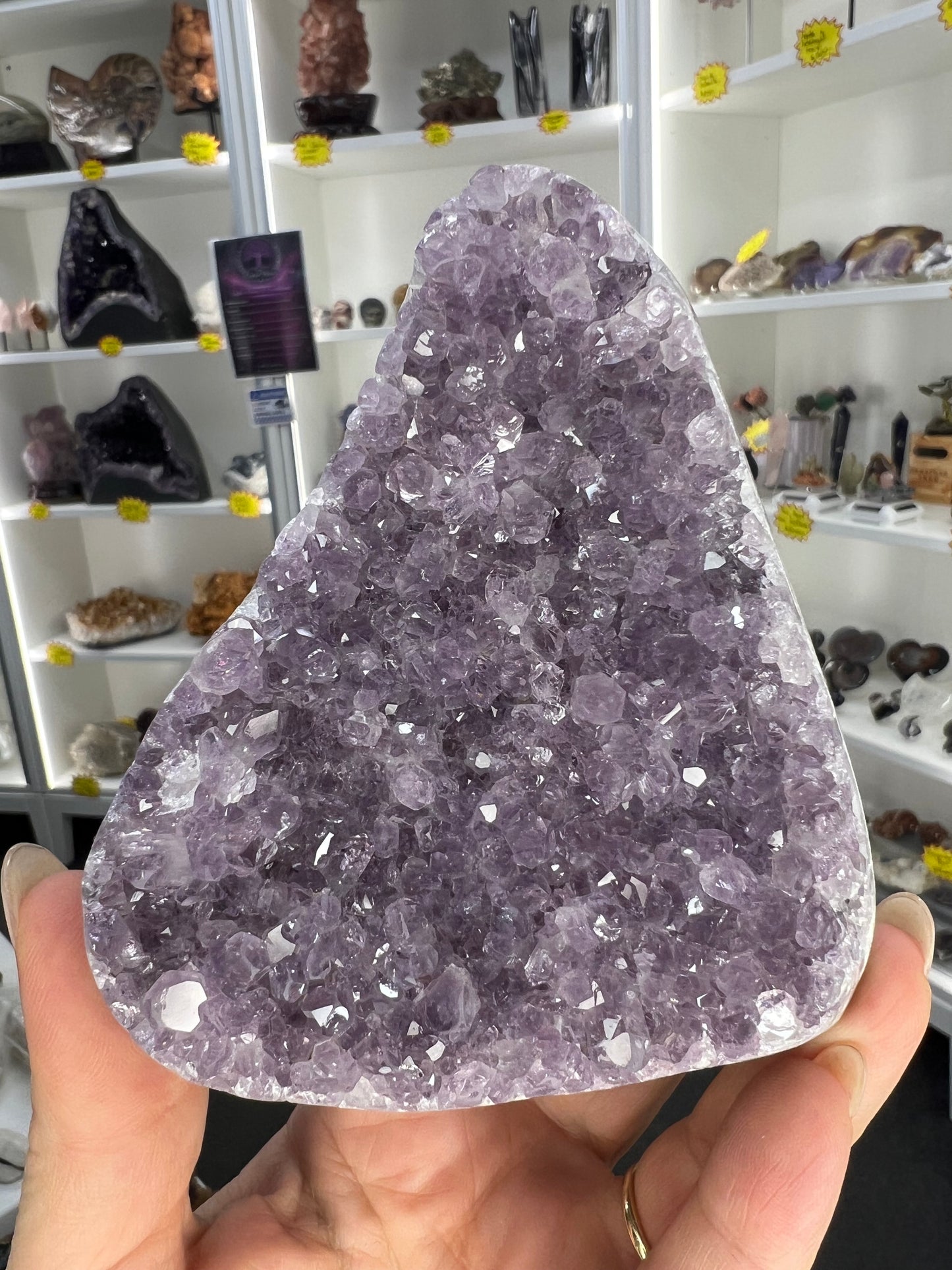 Amethyst Cluster Specimen