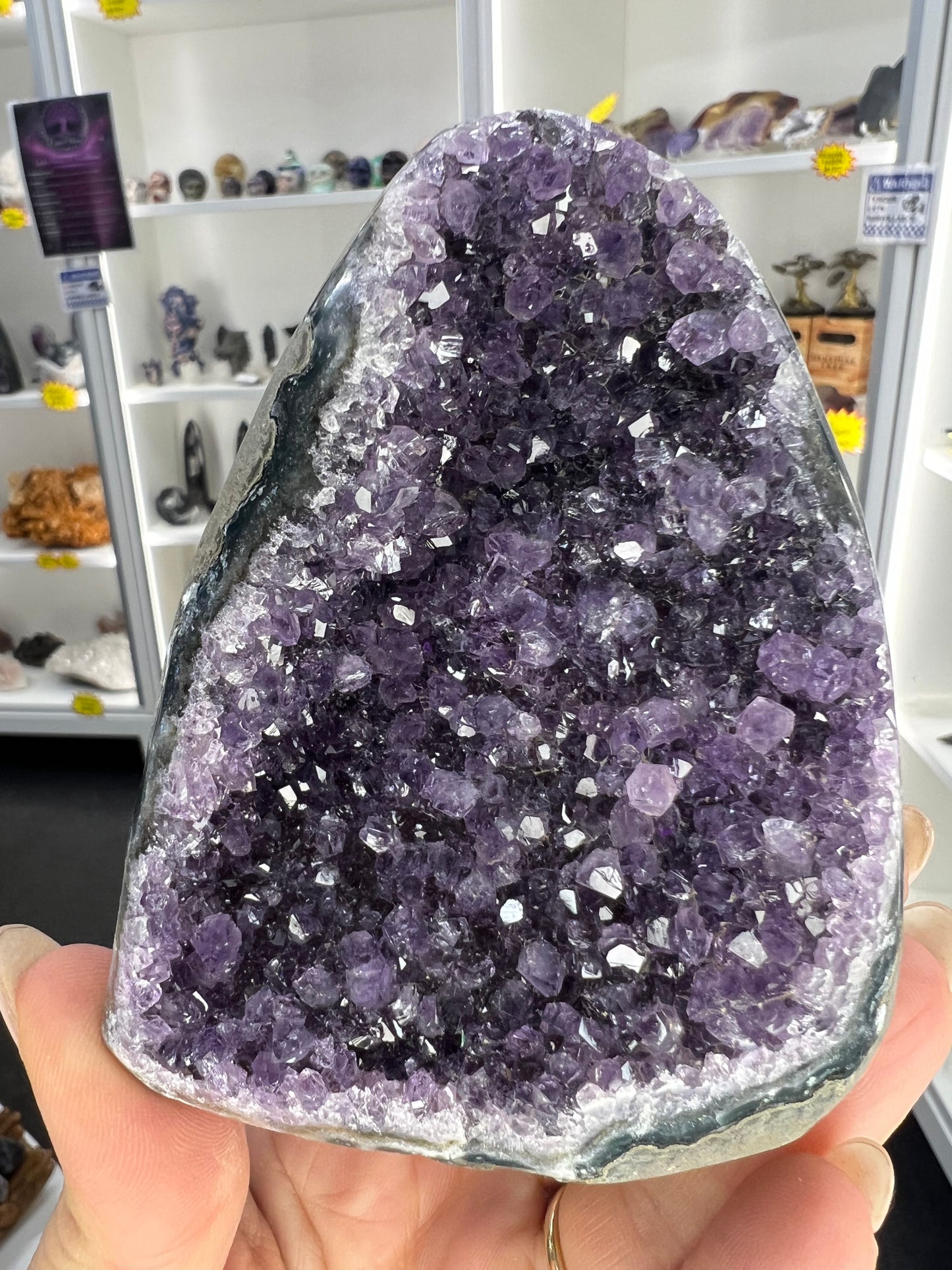 Amethyst Cluster Specimen