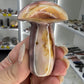 Ocean Jasper Mushroom
