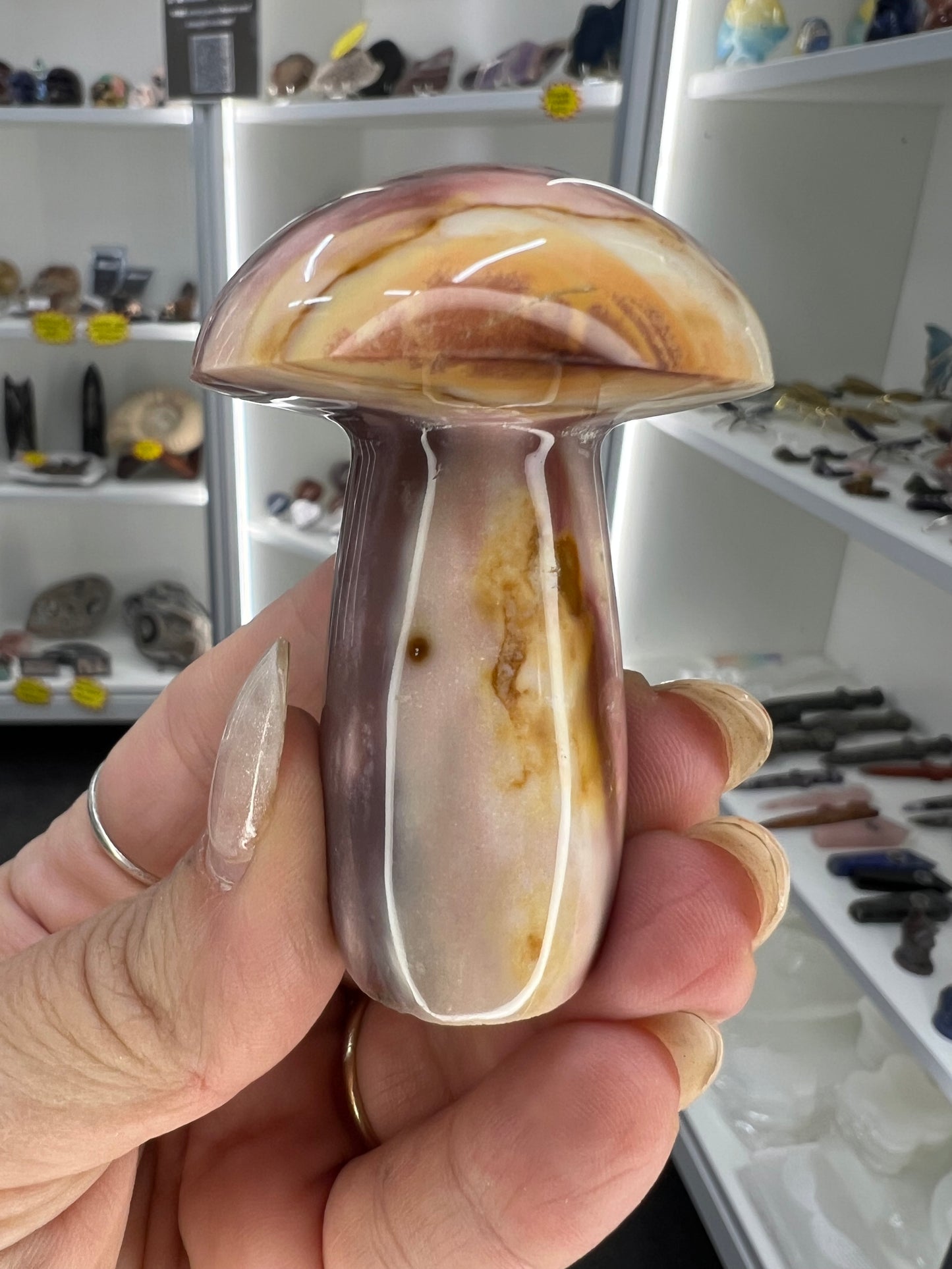 Ocean Jasper Mushroom