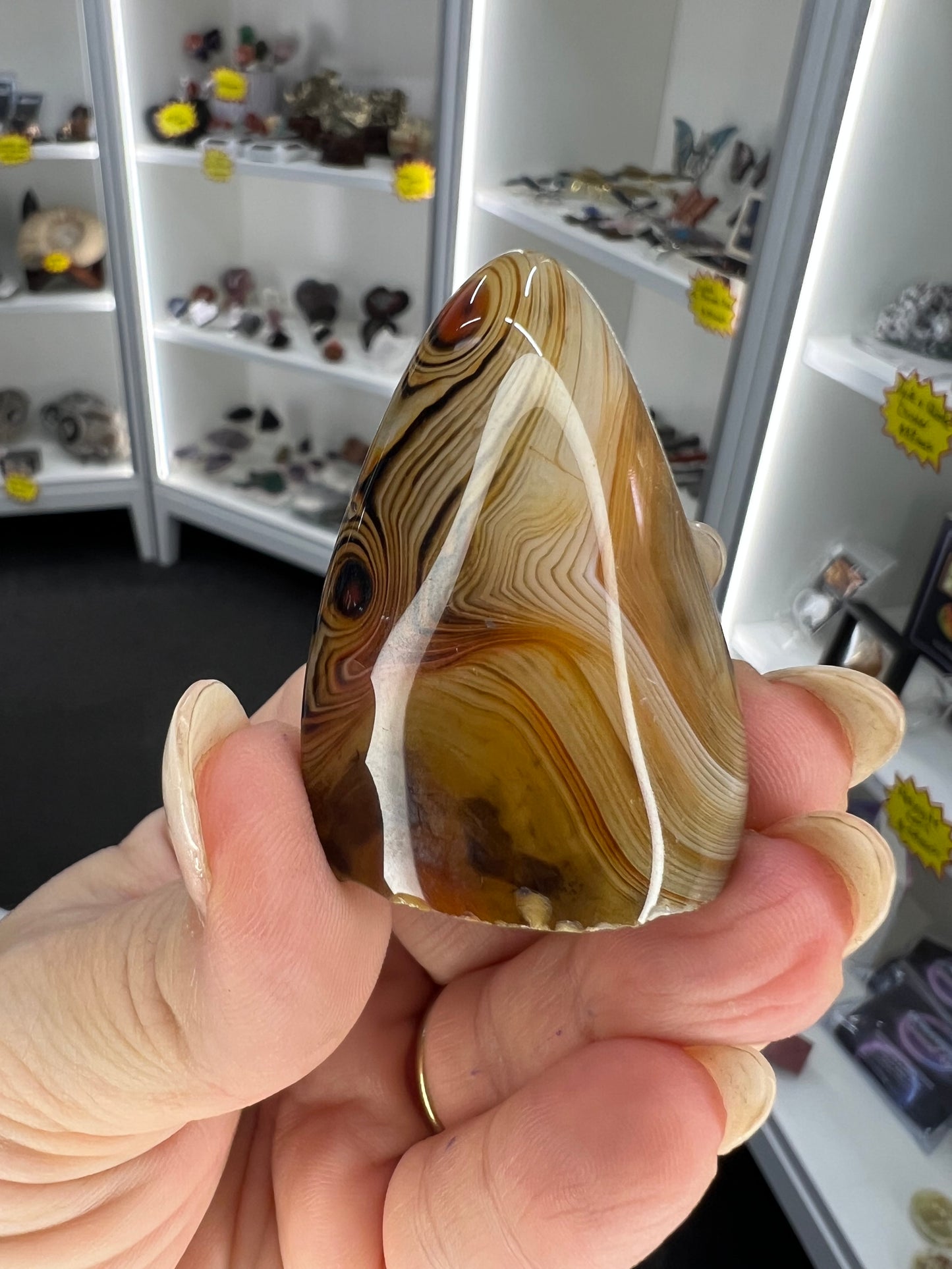 Sardonyx Little Guy