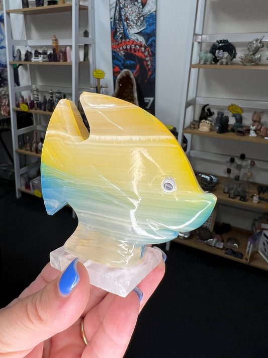 Onyx Fish