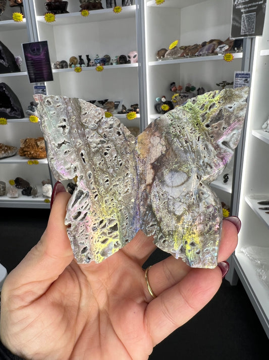 Aura Sphalerite Butterfly