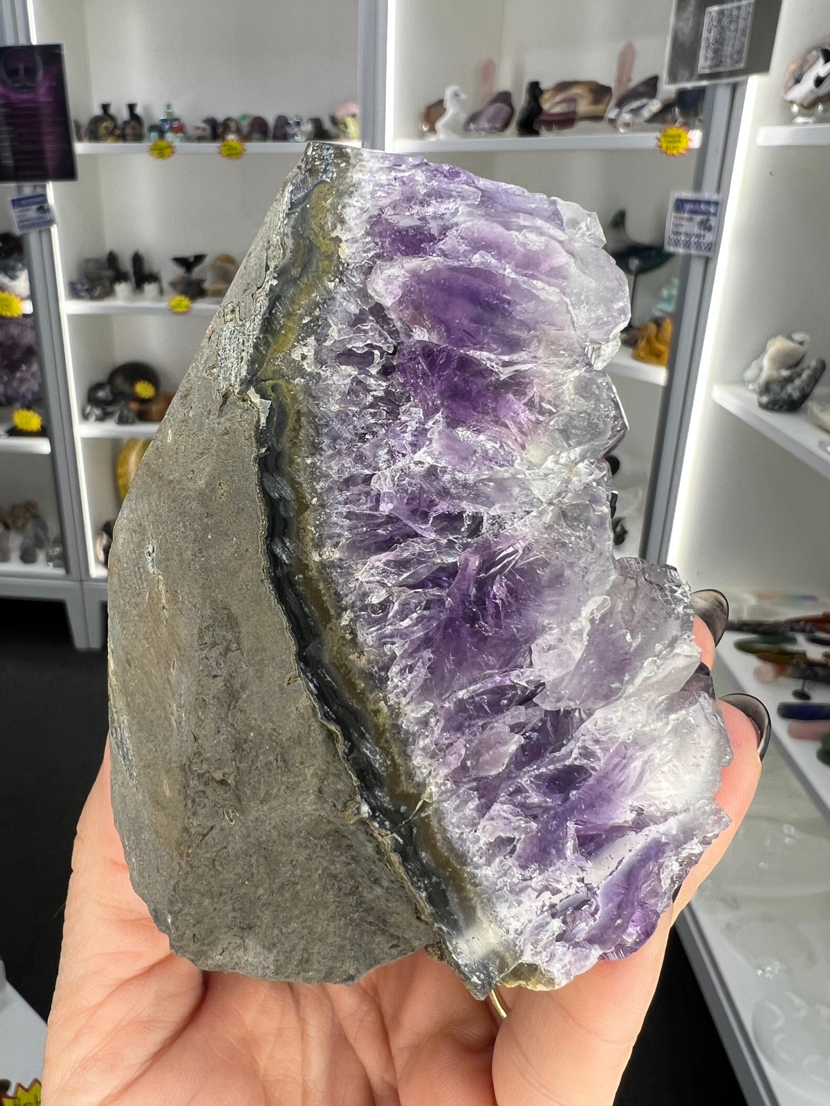 Amethyst Cluster Specimen
