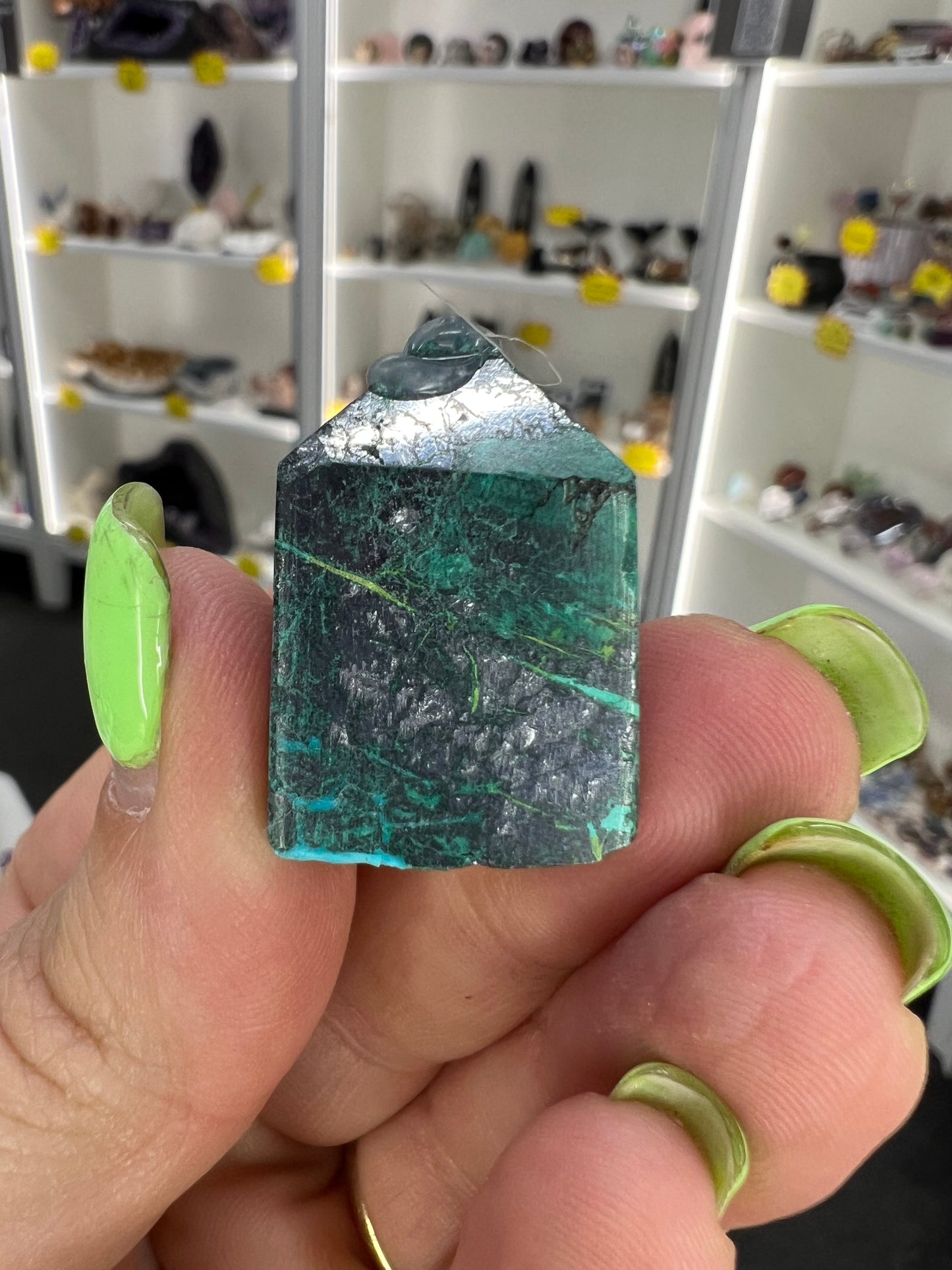 Phoenix Turquoise Point