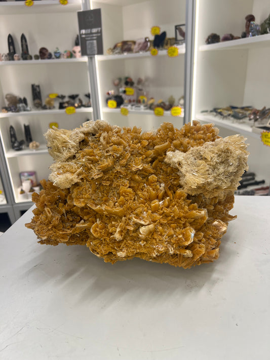 Huge Gypsum Specimen