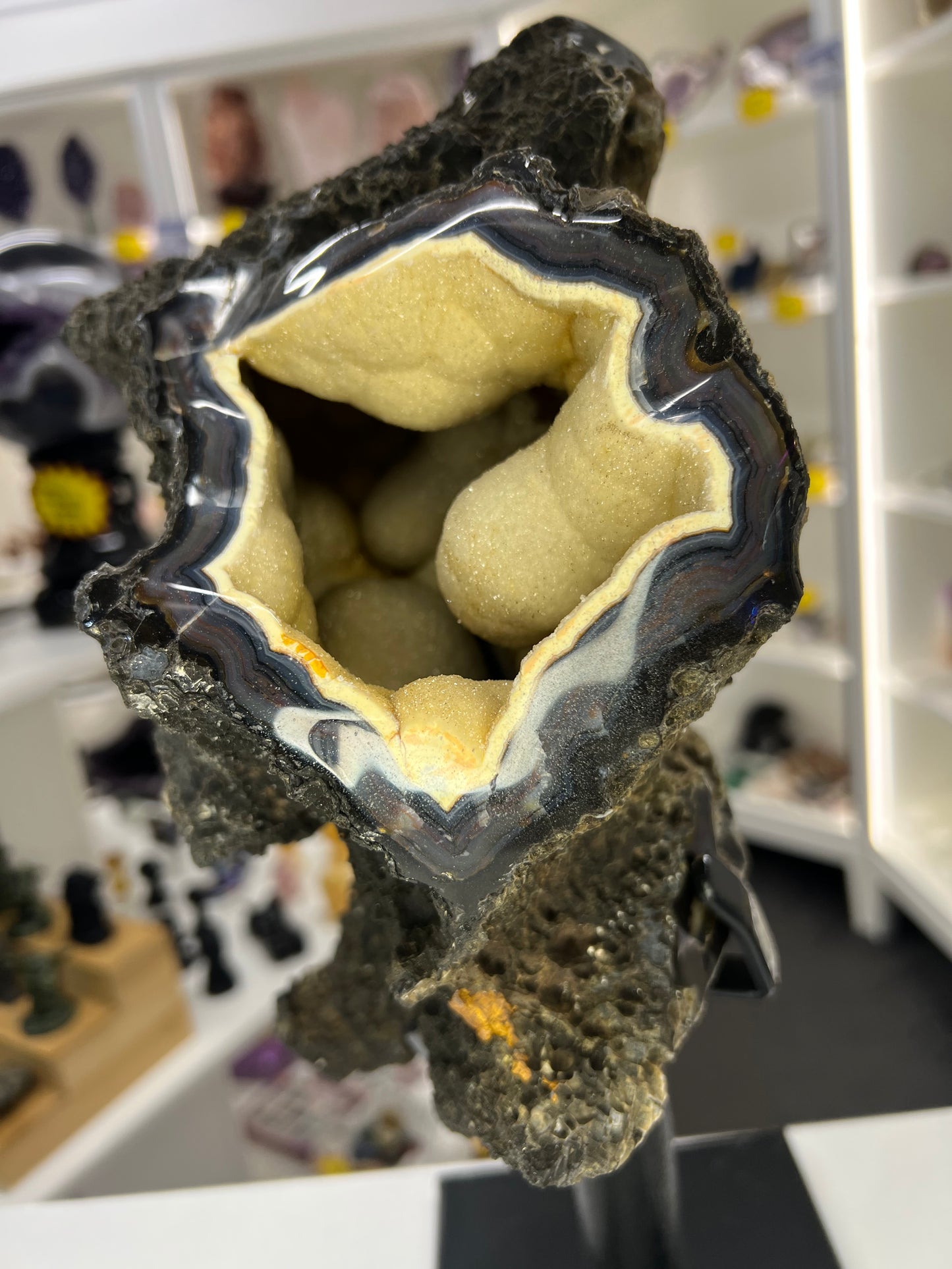 Super Rare Black Chalcedony on Metal Stand