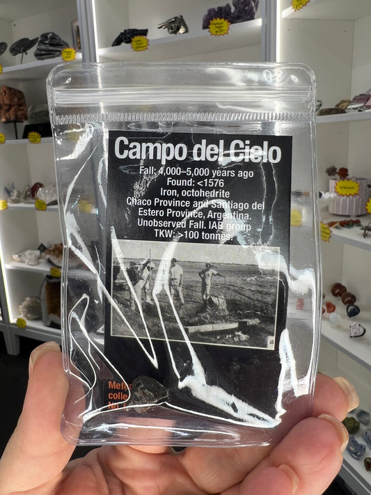 Campo Del Cielo Meteorite