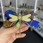 Aura Kyanite Dragonfly