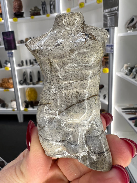 Picture Jasper Male Body