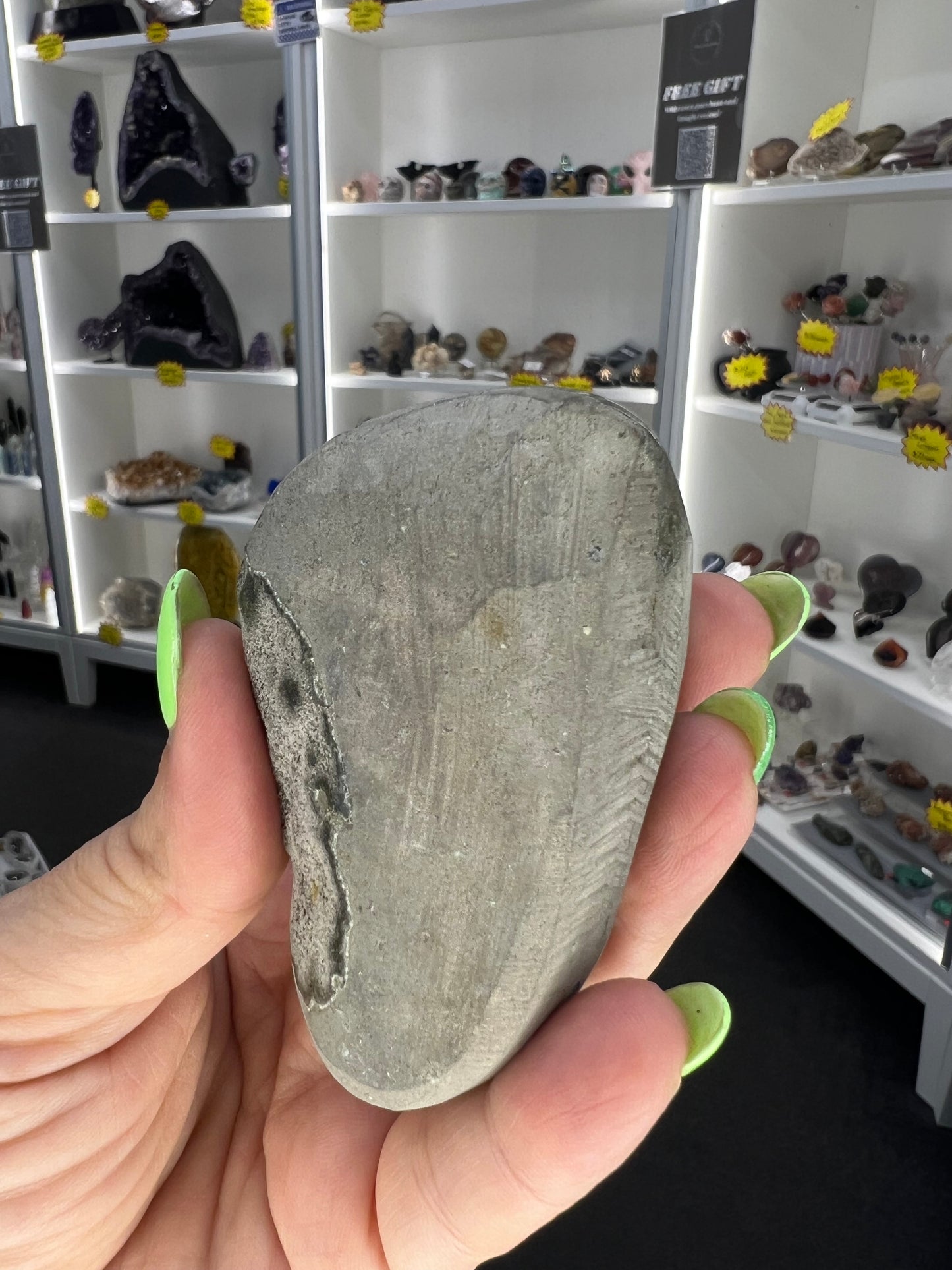 Black Amethyst Cluster