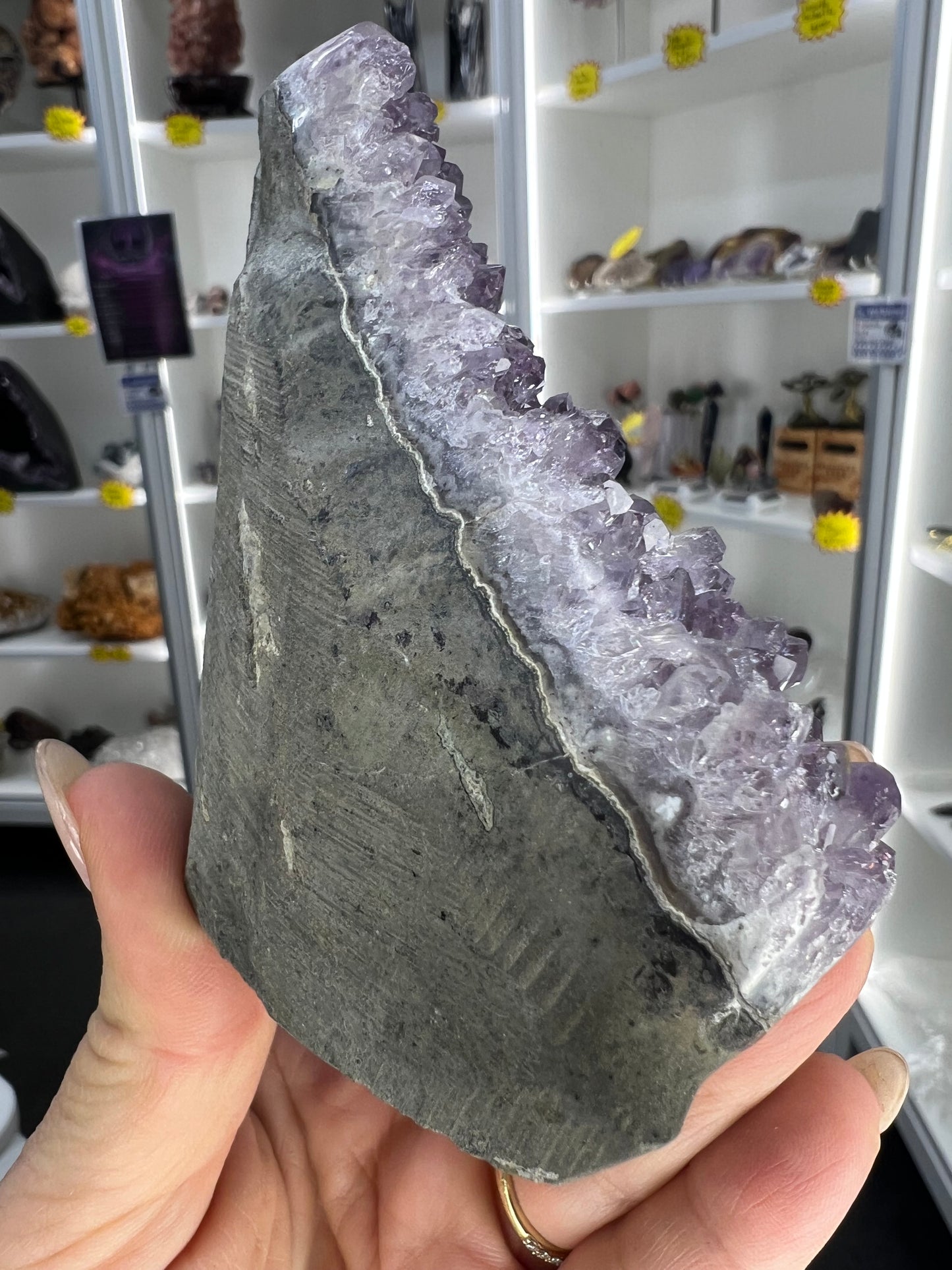 Amethyst Cluster Specimen