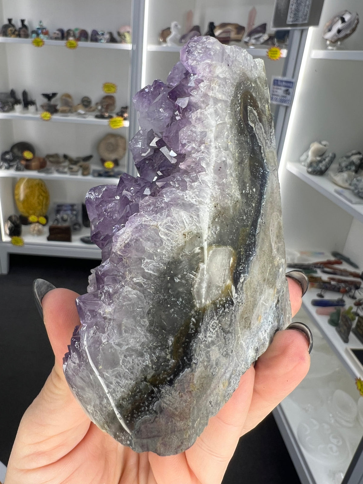 Amethyst Cluster Specimen