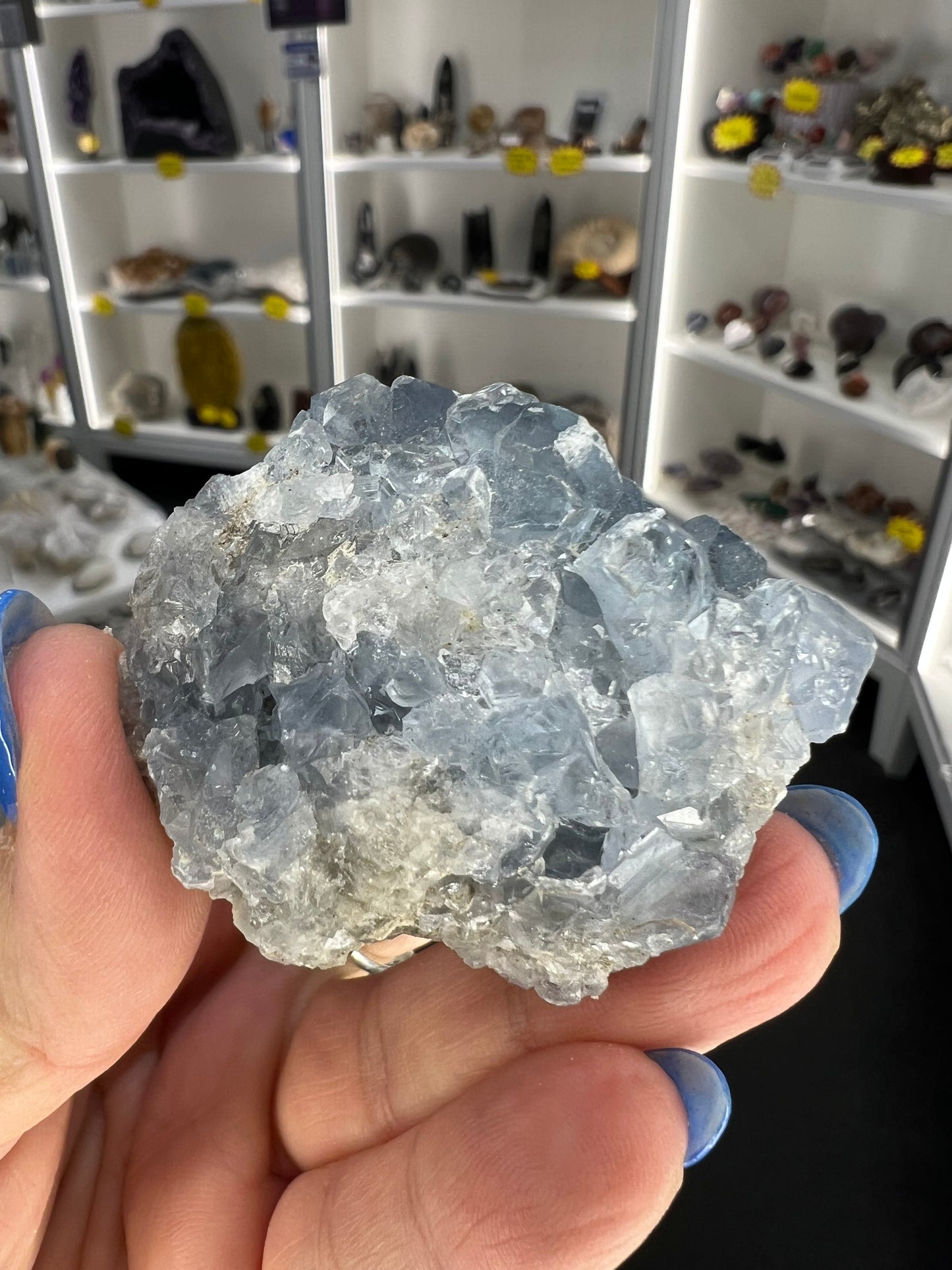 Celestite Cluster Specimen