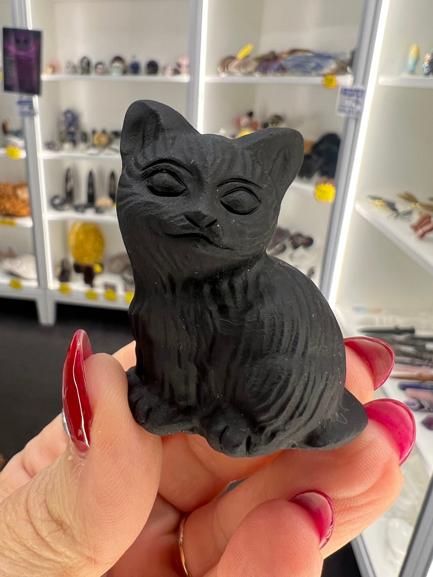 Black Obsidian Cat