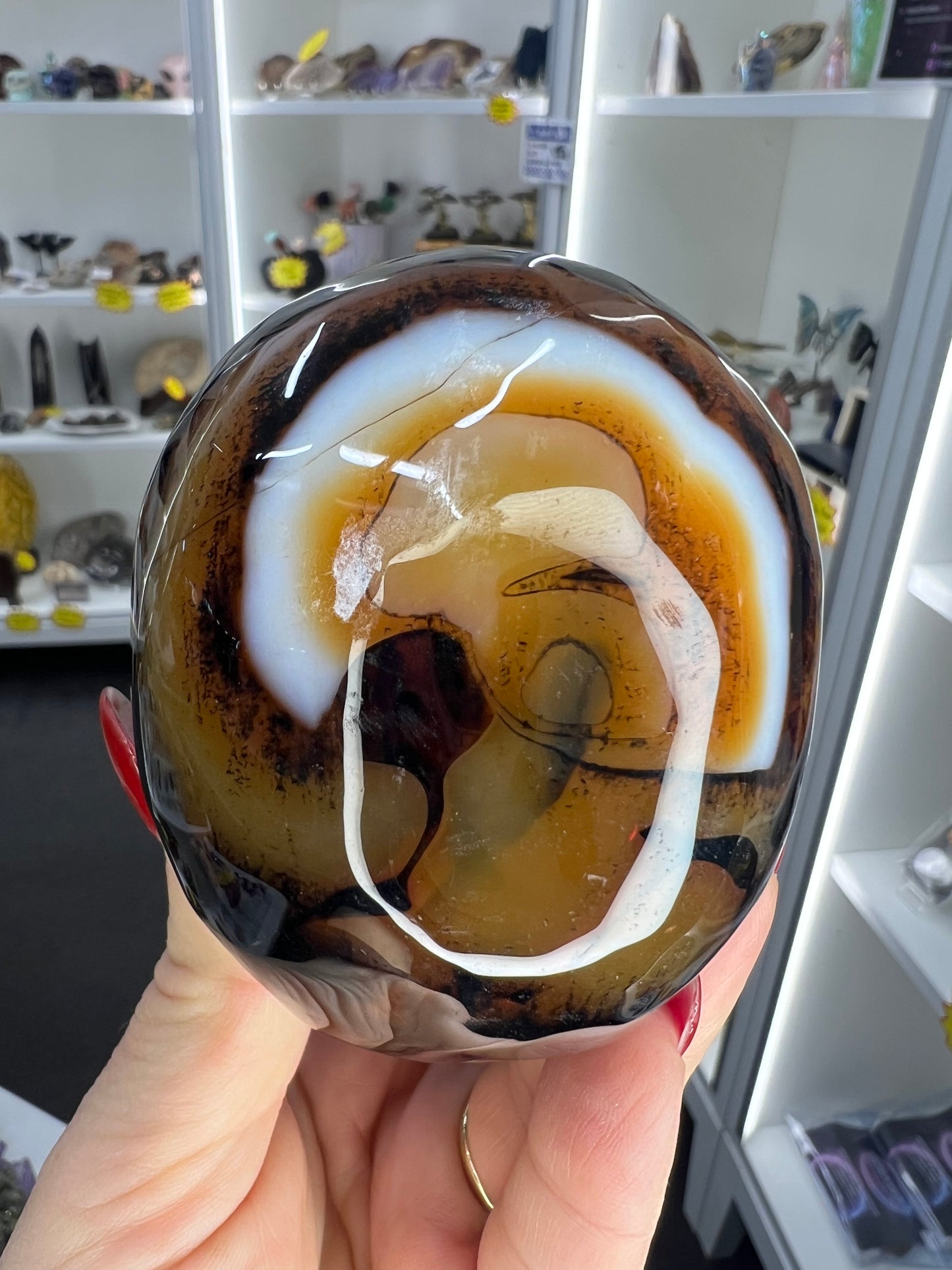 Sardonyx Skull