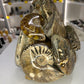 Absolutely Incredible Ammonite Cluster