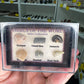 Fossils of the World Box