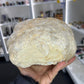 Quartz Geode Specimen