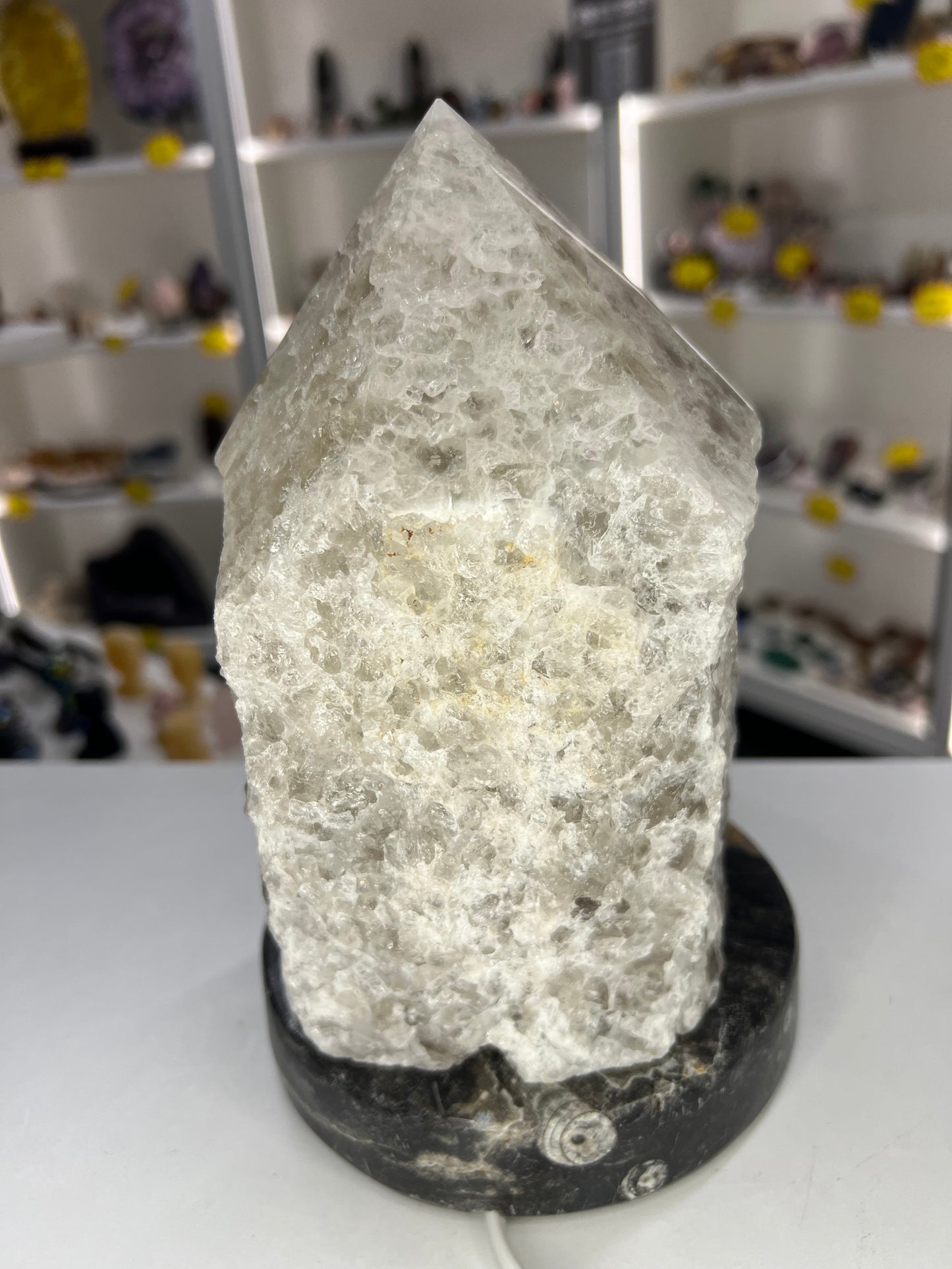 Smoky Quartz Point Lamp on Fossil Orthoceras Base