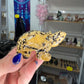 Picture Stone Jasper Turtle