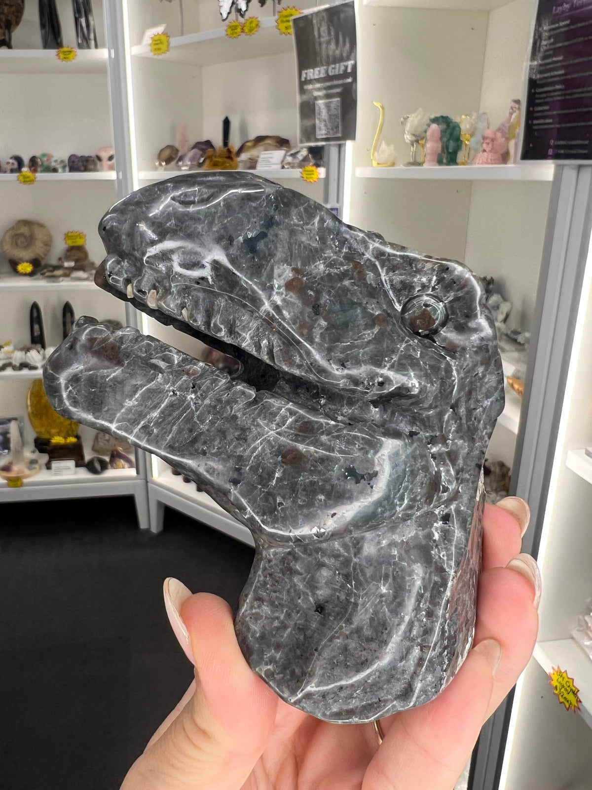 Yooperlite Dinosaur Head (UV Reactive)