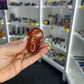Carnelian Mushroom