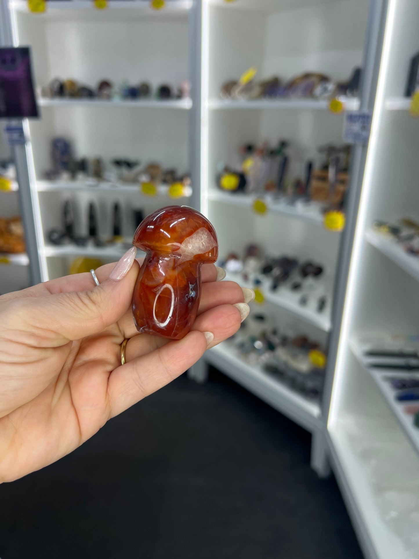 Carnelian Mushroom