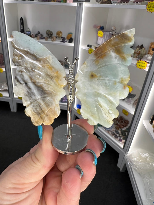 Caribbean Calcite Butterfly