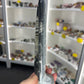 Orthoceras Totem