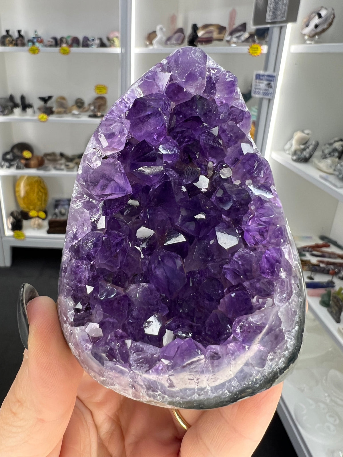 Amethyst Cluster Specimen