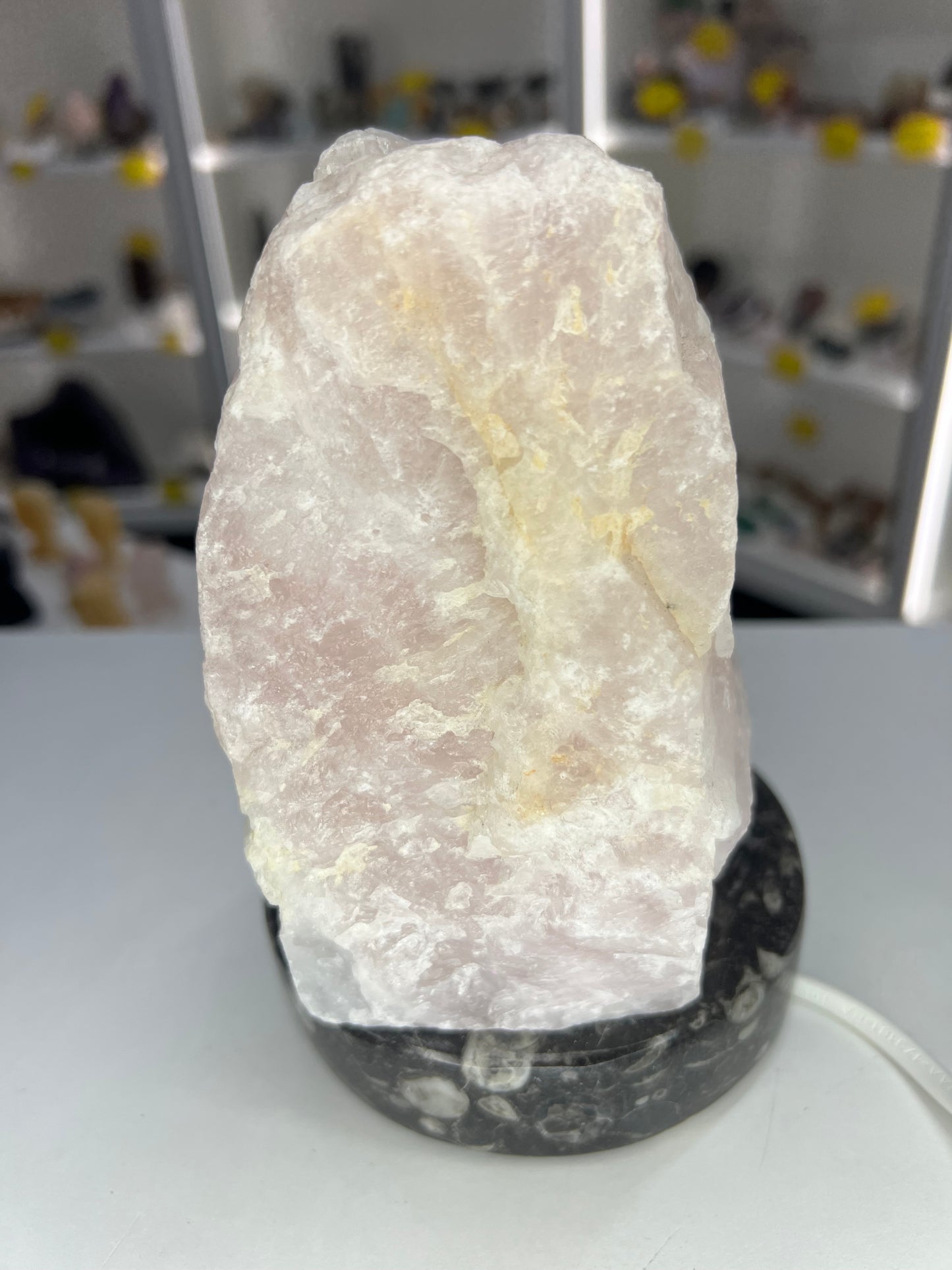 Rose Quartz Lamp on Fossil Orthoceras Base