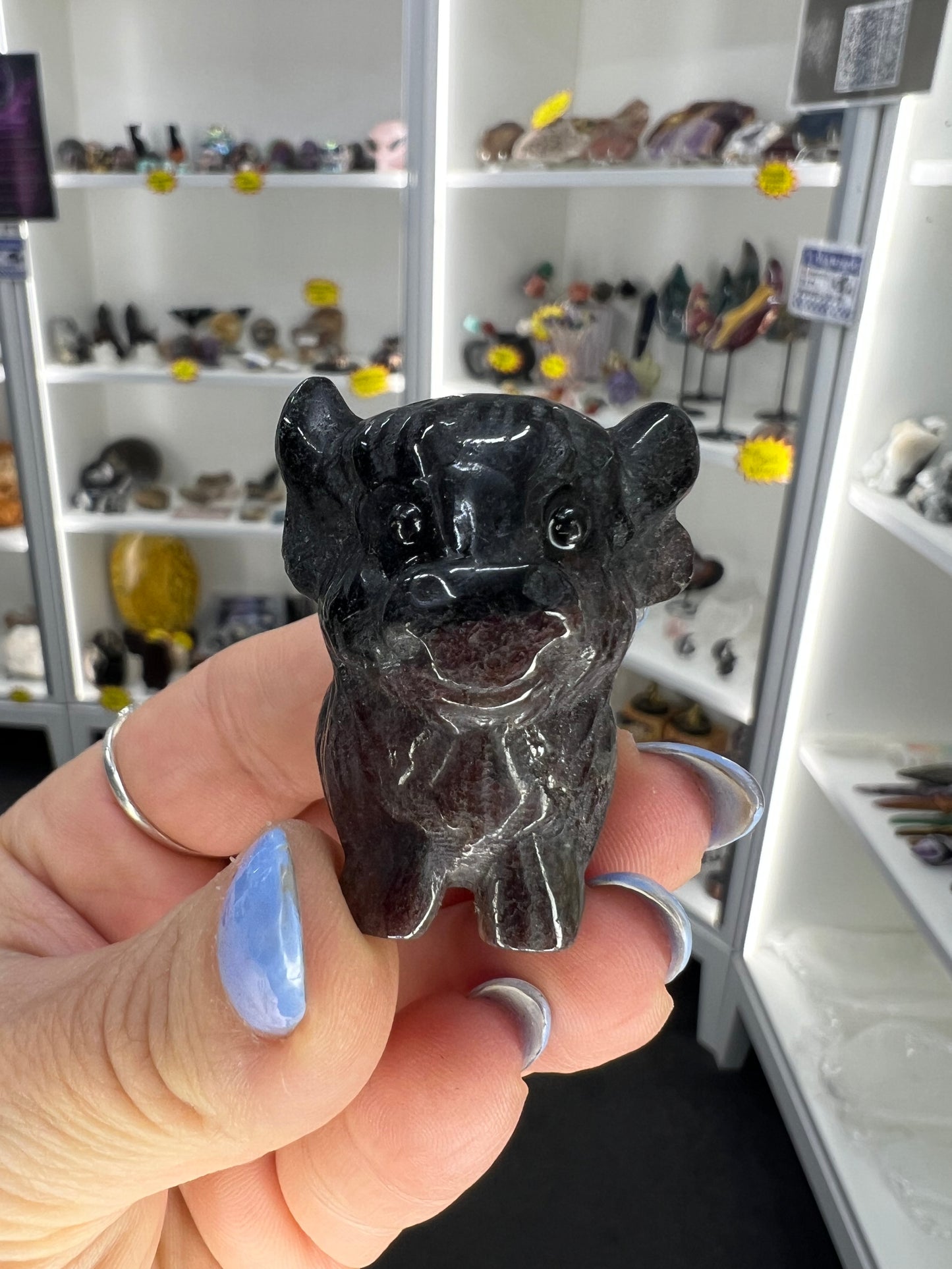 Astrophyllite Garnet Highland Cow