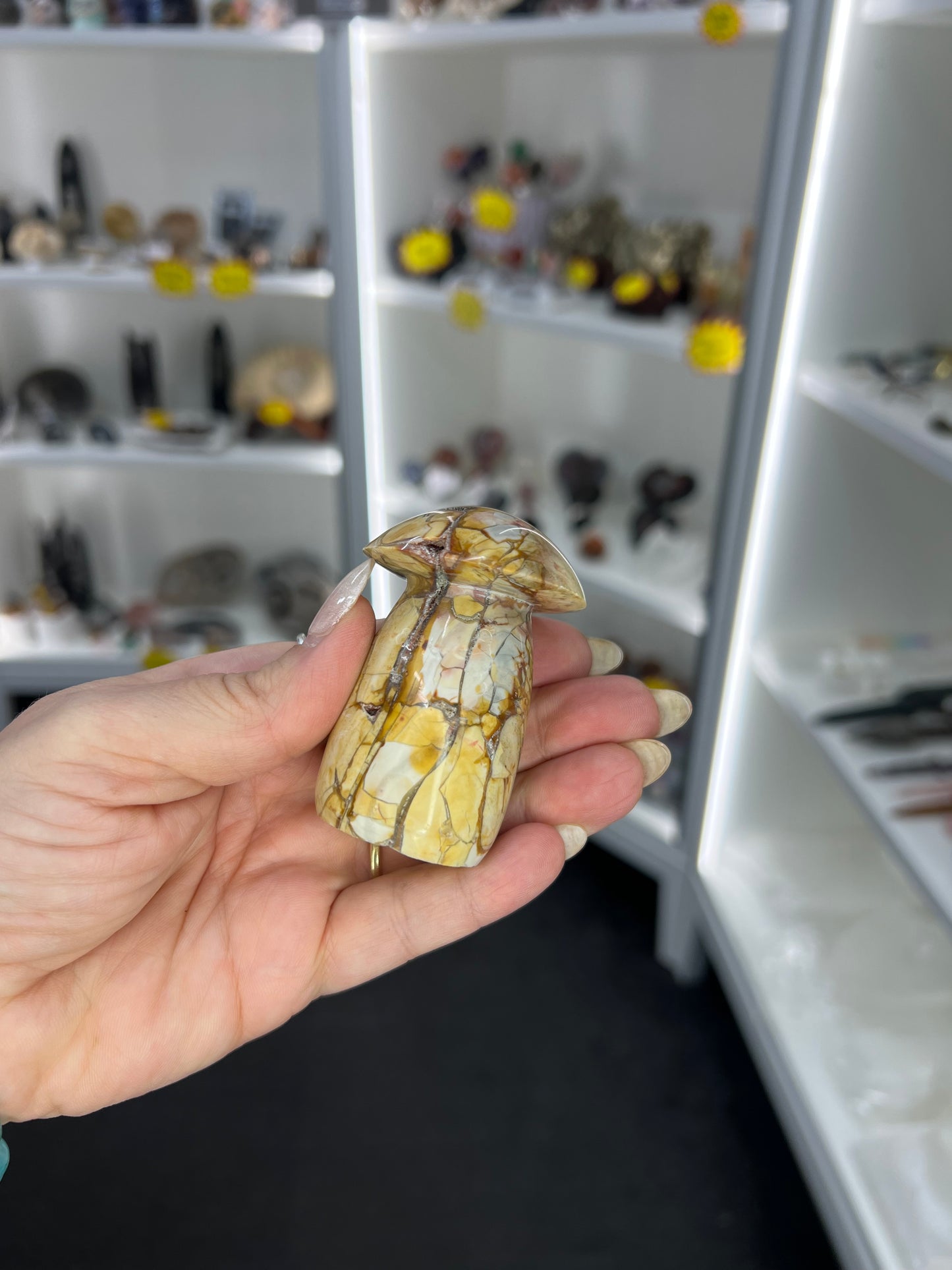 Ocean Jasper Mushroom