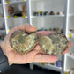 Ammonite Pair