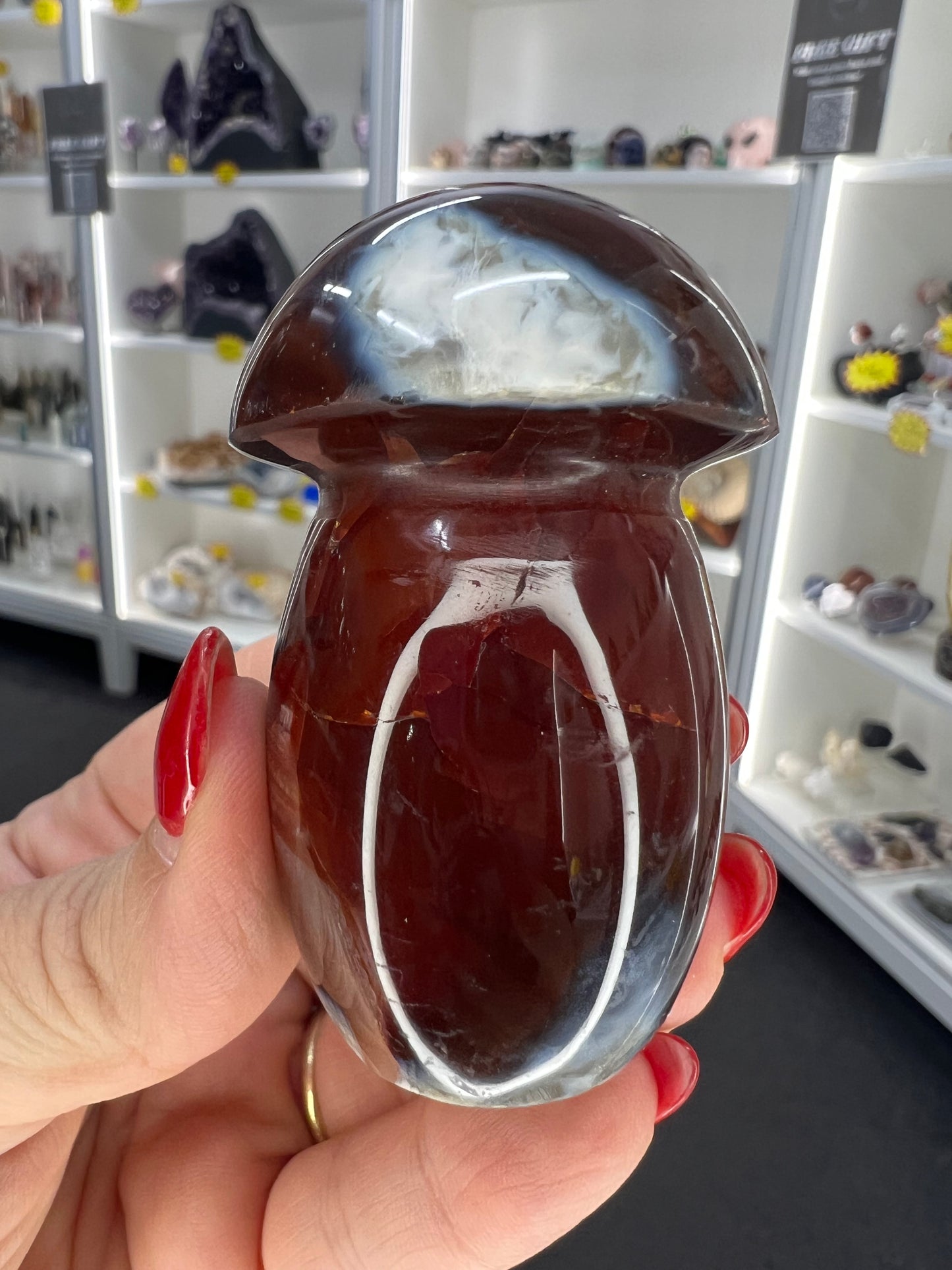 Carnelian Mushroom