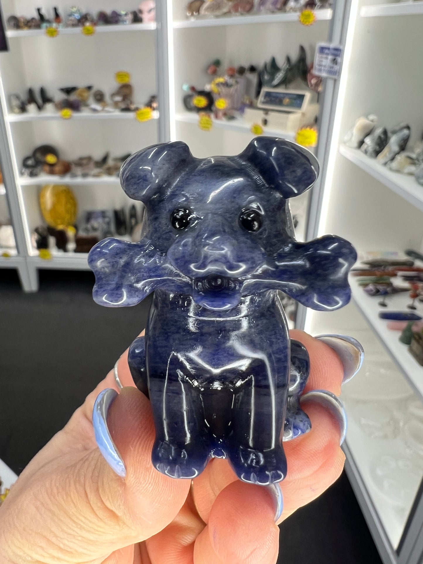 Sodalite Dog with Bone