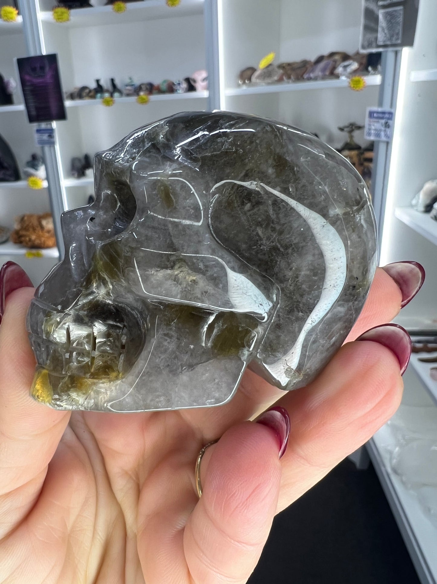 Smoky Quartz with Green Mica Skull