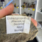 Trilobite in Matrix