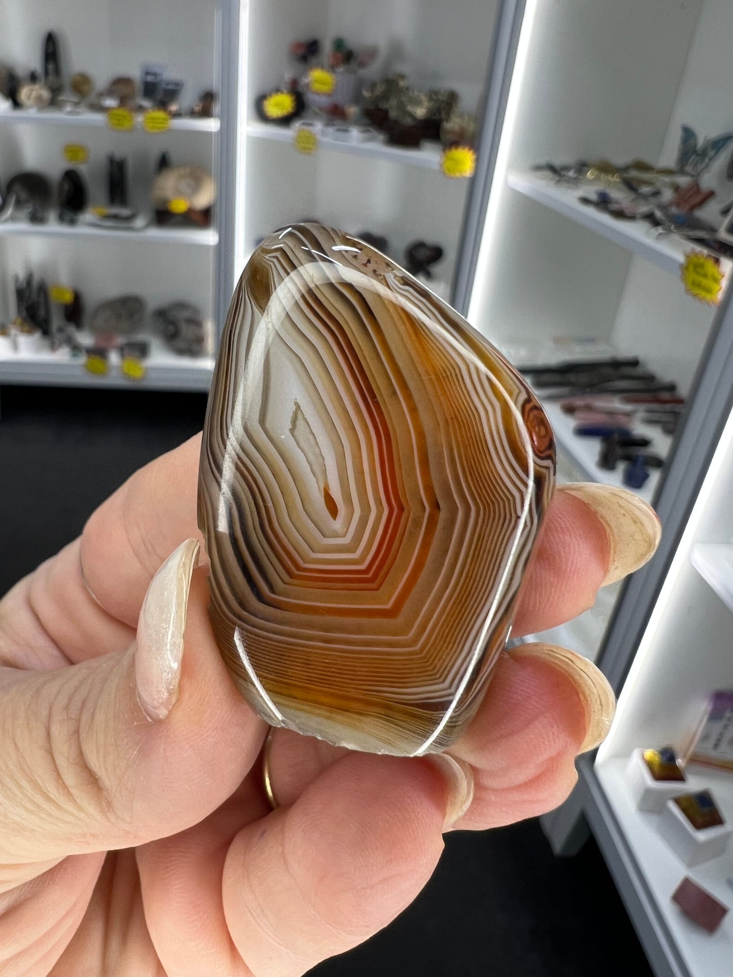Sardonyx Little Guy