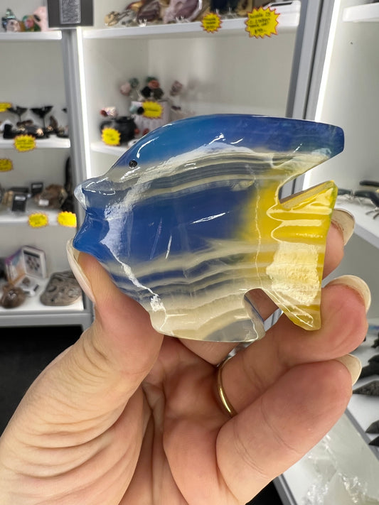 Onyx Fish