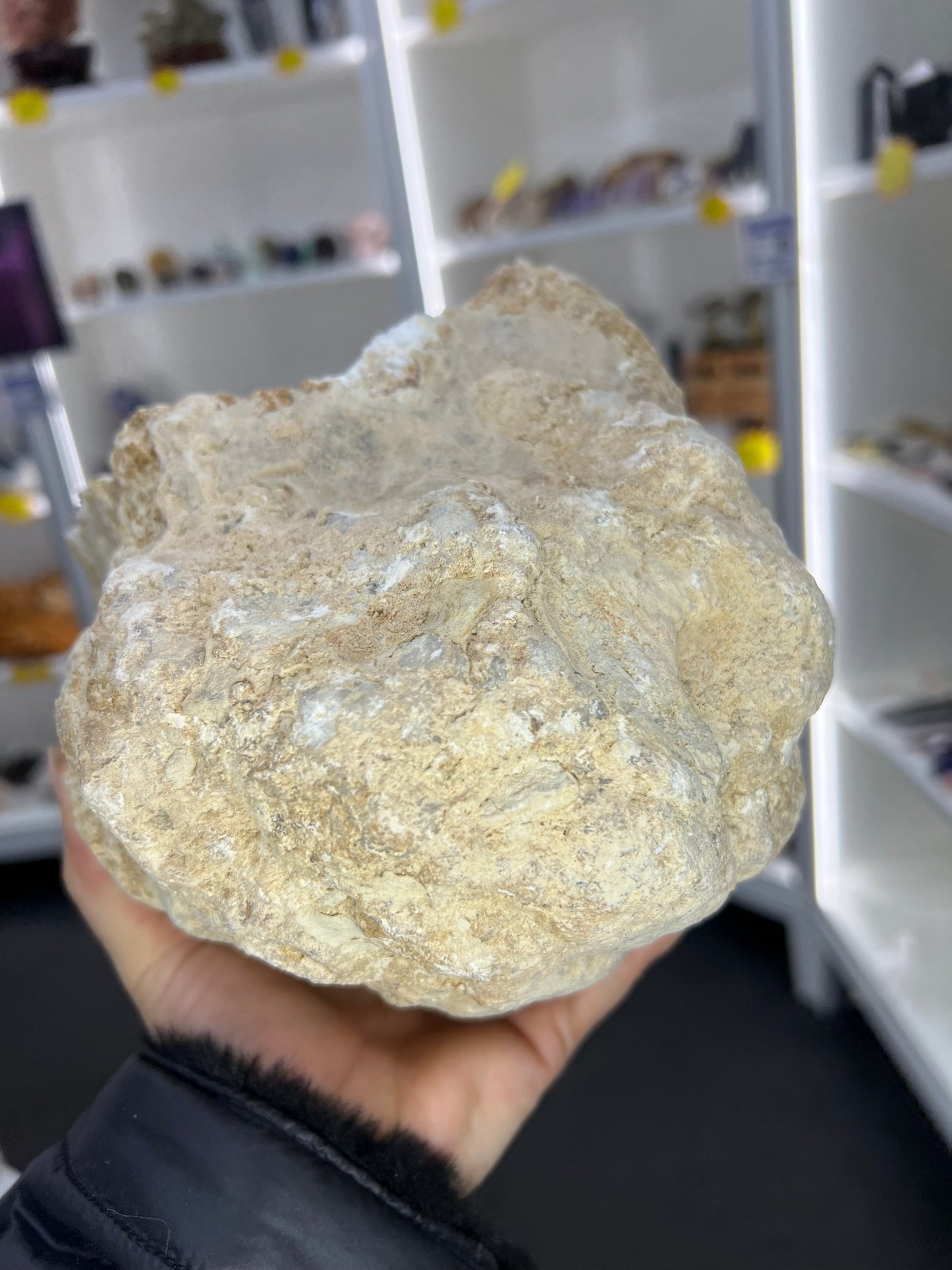 Quartz Geode Specimen