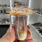 Ocean Jasper Mushroom