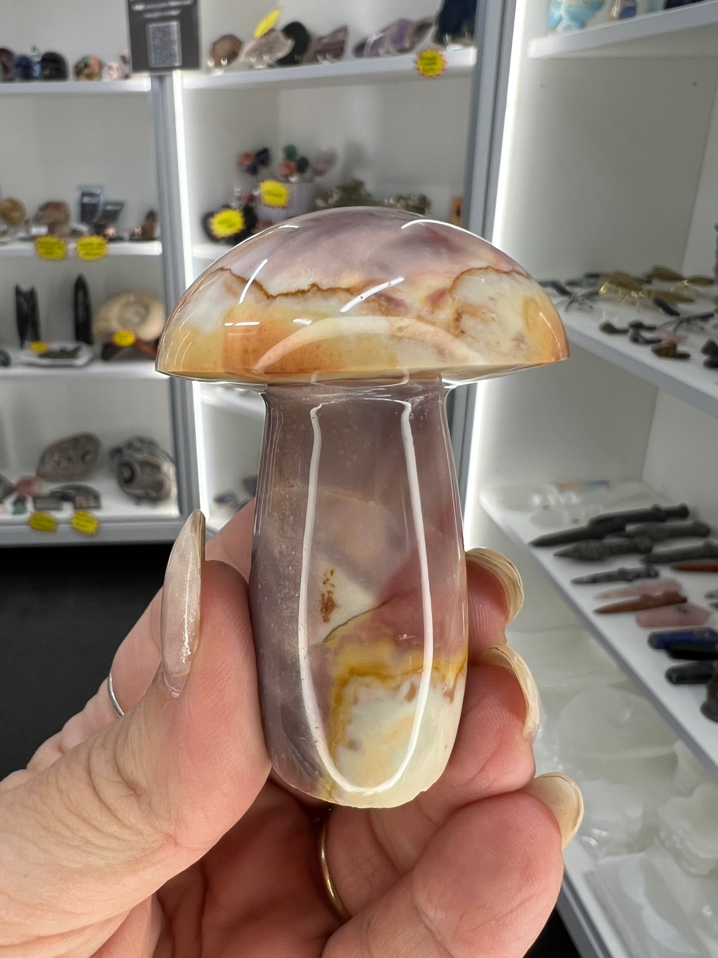 Ocean Jasper Mushroom