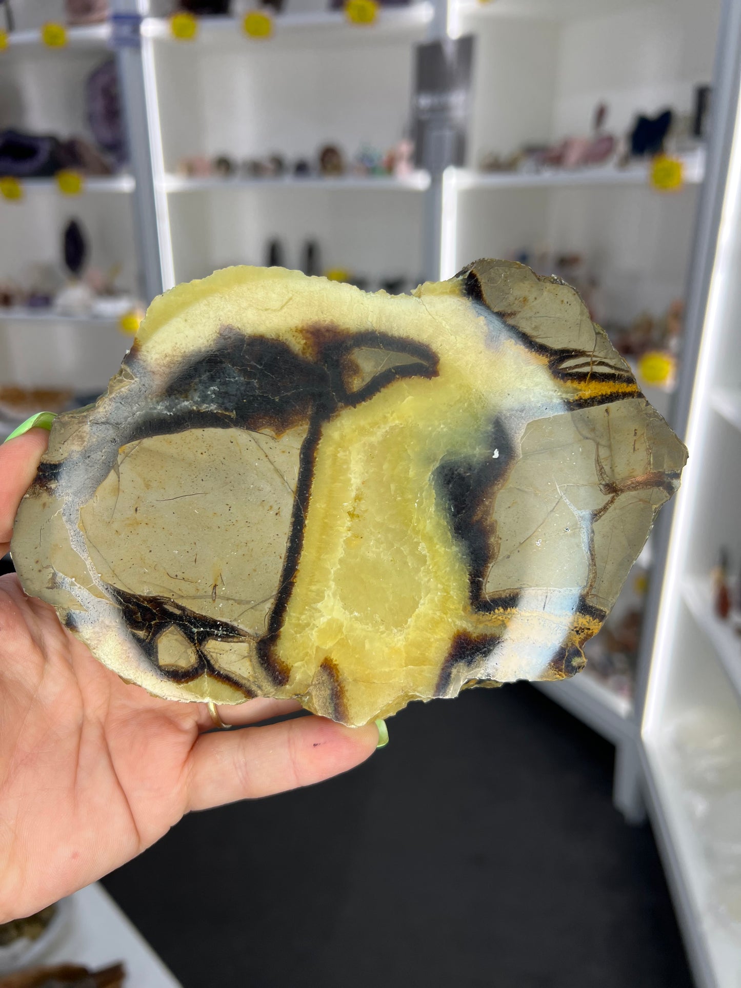 Septarian Slab
