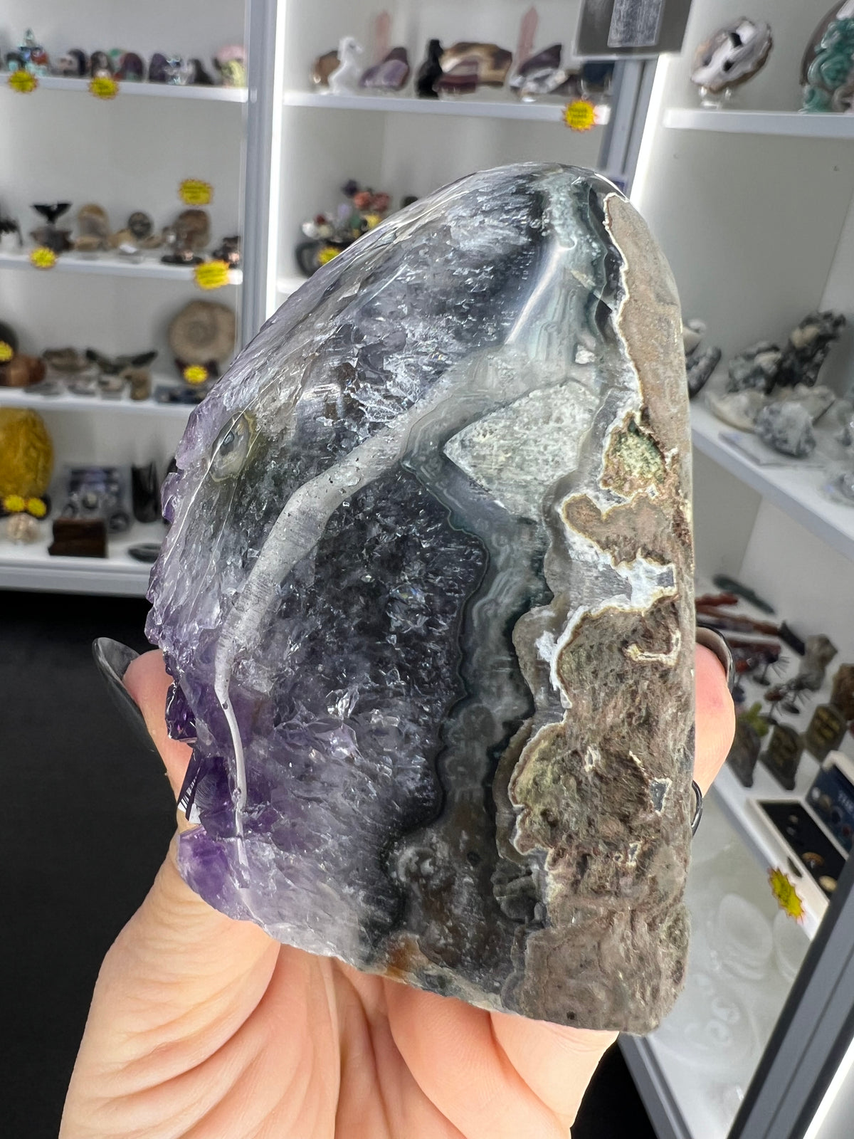 Amethyst Cluster Specimen